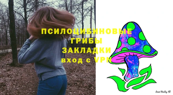 стафф Володарск