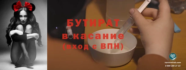 сатива Волоколамск