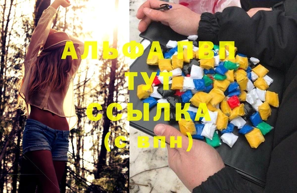 стафф Володарск