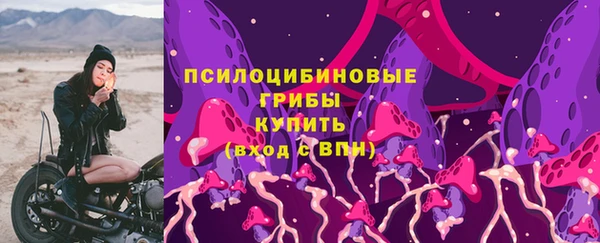 стафф Володарск