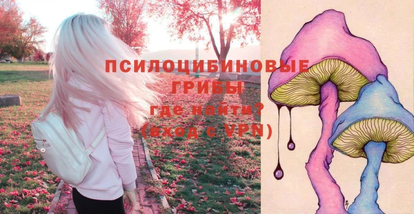 стафф Володарск