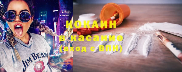 сатива Волоколамск