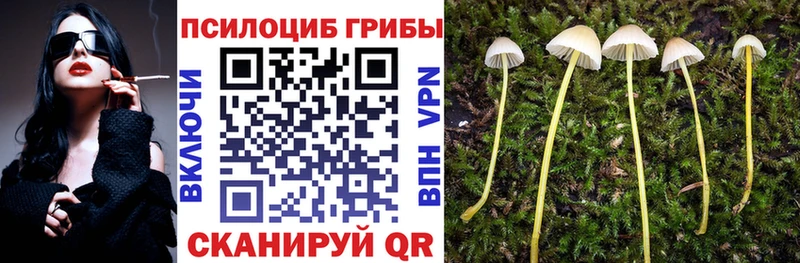 Псилоцибиновые грибы мицелий  дарнет шоп  Первомайск 